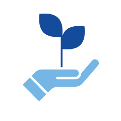 Hand holding growing leaves